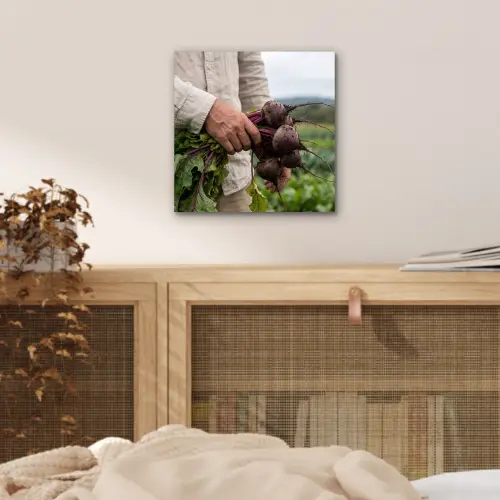 Bieten - Vers - Moestuin aluminium wit klein -sfeer3