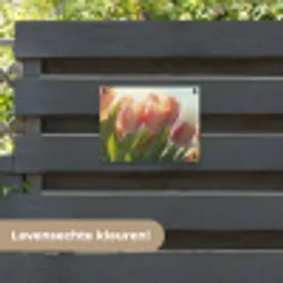 Tulpen - Roze - Zonnestralen tuinposter los doek klein -sfeer3