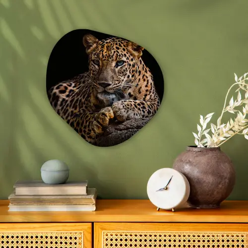 Wilde dieren - Panter - Portret - Zwart - Dieren Wandcirkel Organisch Forex 3mm klein -sfeer2