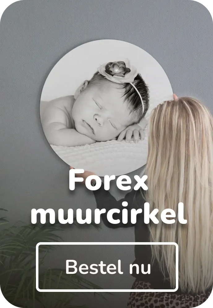 Foto op forex muurcirkel