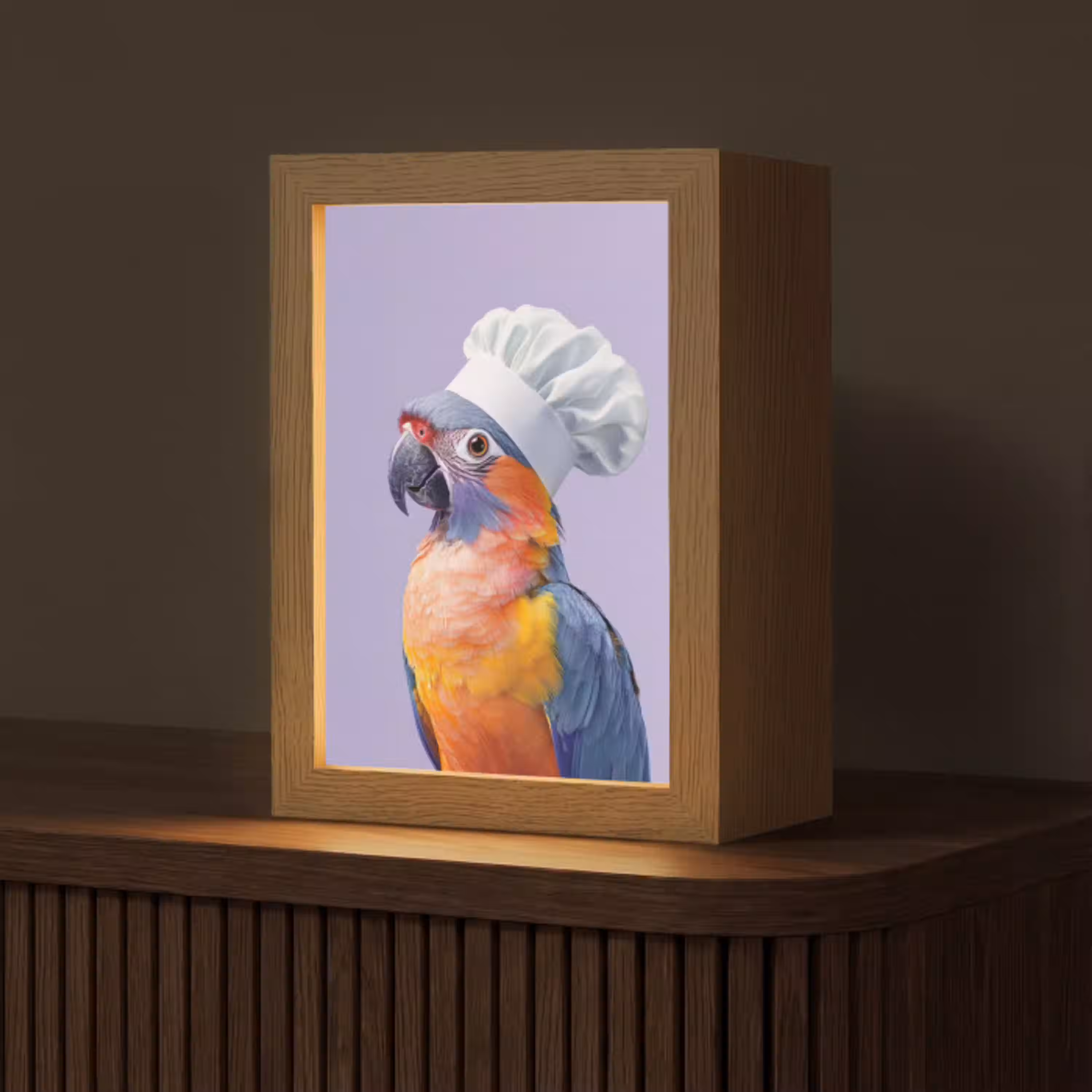 Papegaai - Koksmuts - Paars - Cute Light Box met kabel (Tafellamp) klein -z3d_website