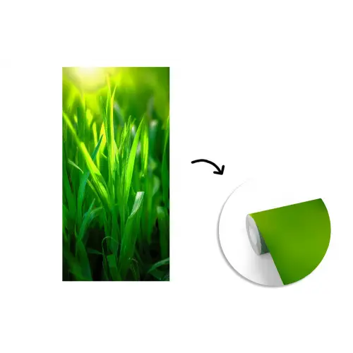 Grassprieten - Lichtinval - Groen fotobehang vinyl groot -3d