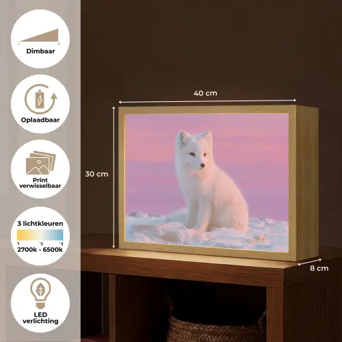Poolvos - Sneeuw - Roze Light Box met batterij (Wandlamp) middel -USP_websiteoverzichtNL