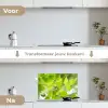 Natuur - Lente - Groen - Bladeren keuken achterwand spatscherm klein -voor_na_NL