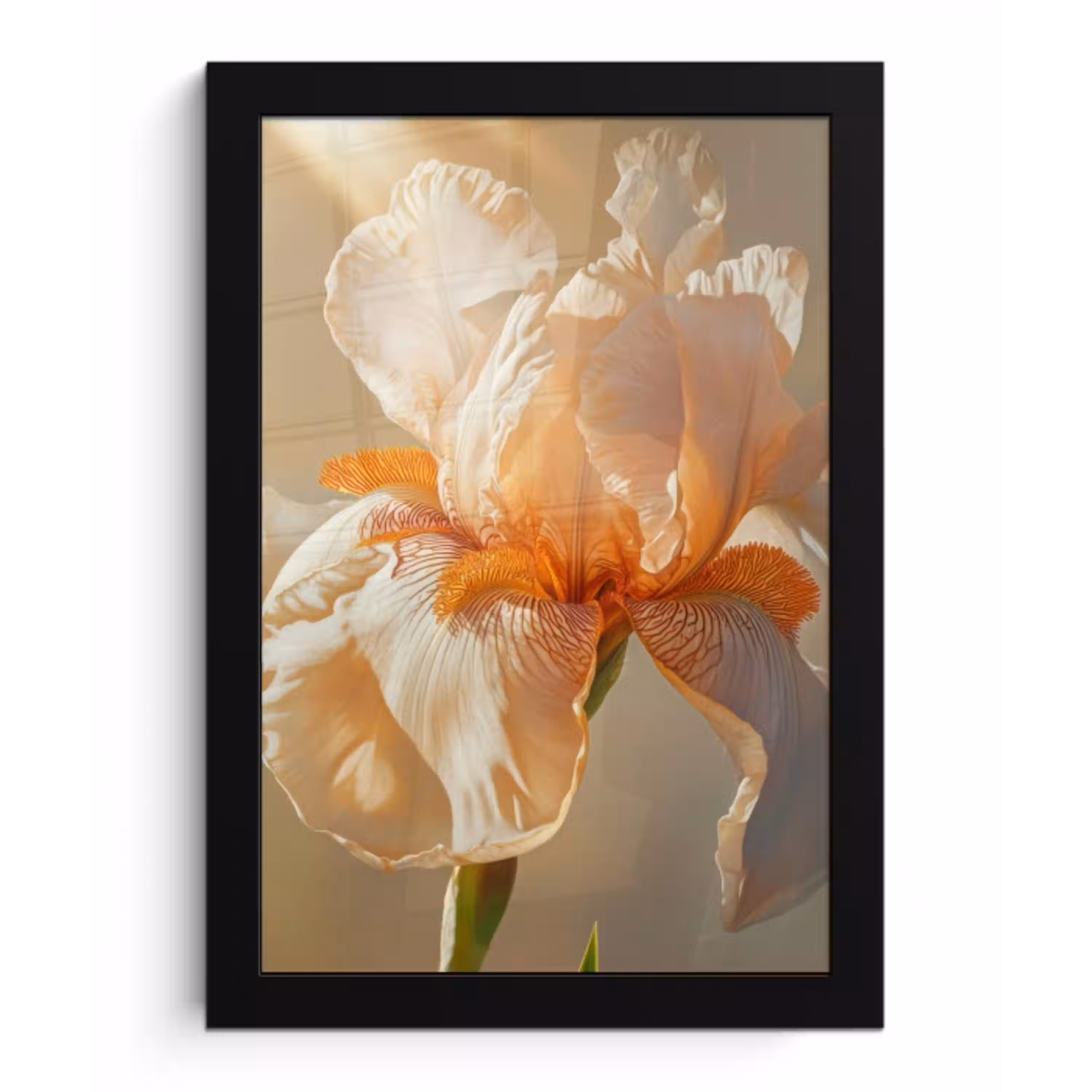 Close up - Oranje - Iris fotolijst zwart zonder passe partout klein -3d