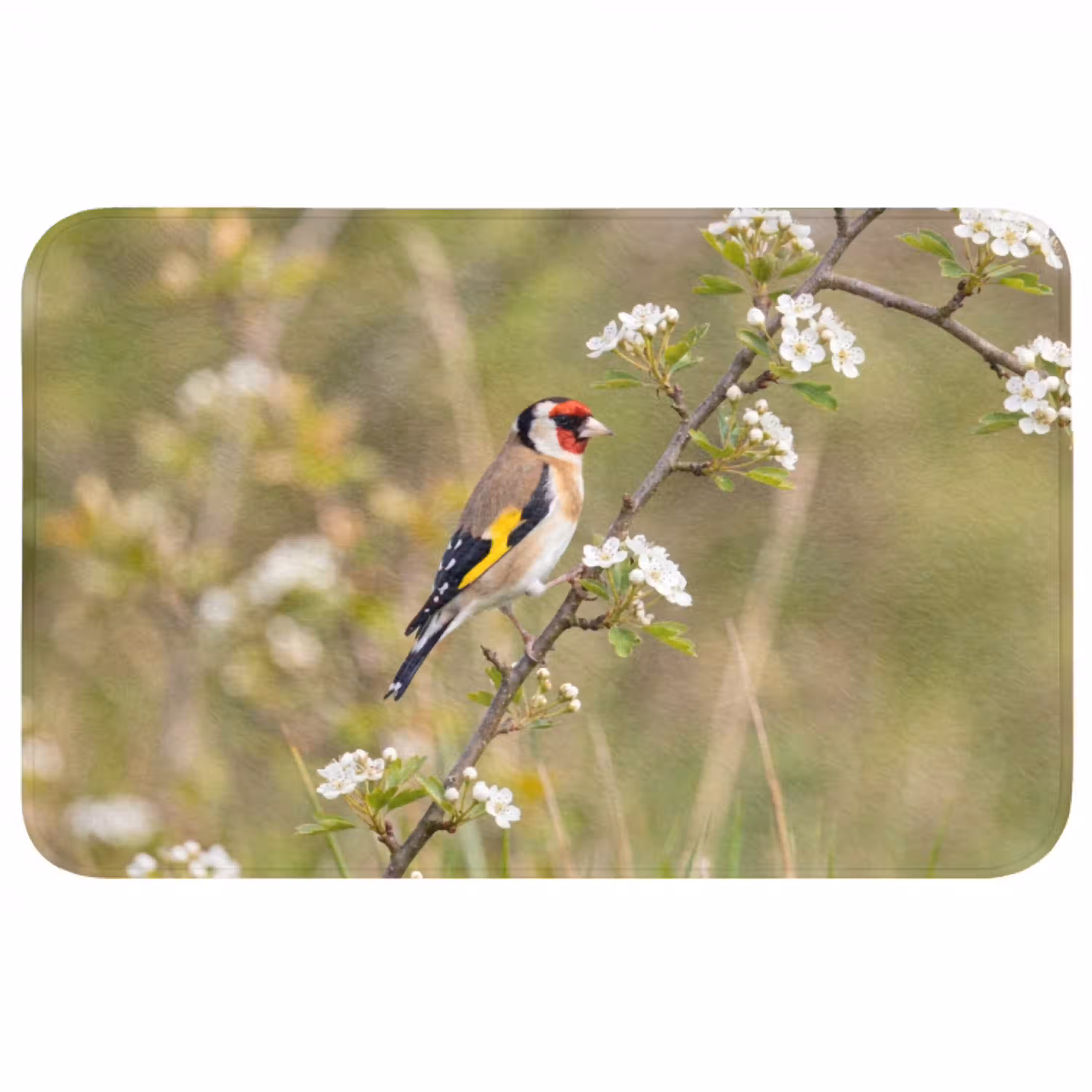 Putter - Bloesem - Lente - Natuur - Kleurrijk Badmat middel -3d