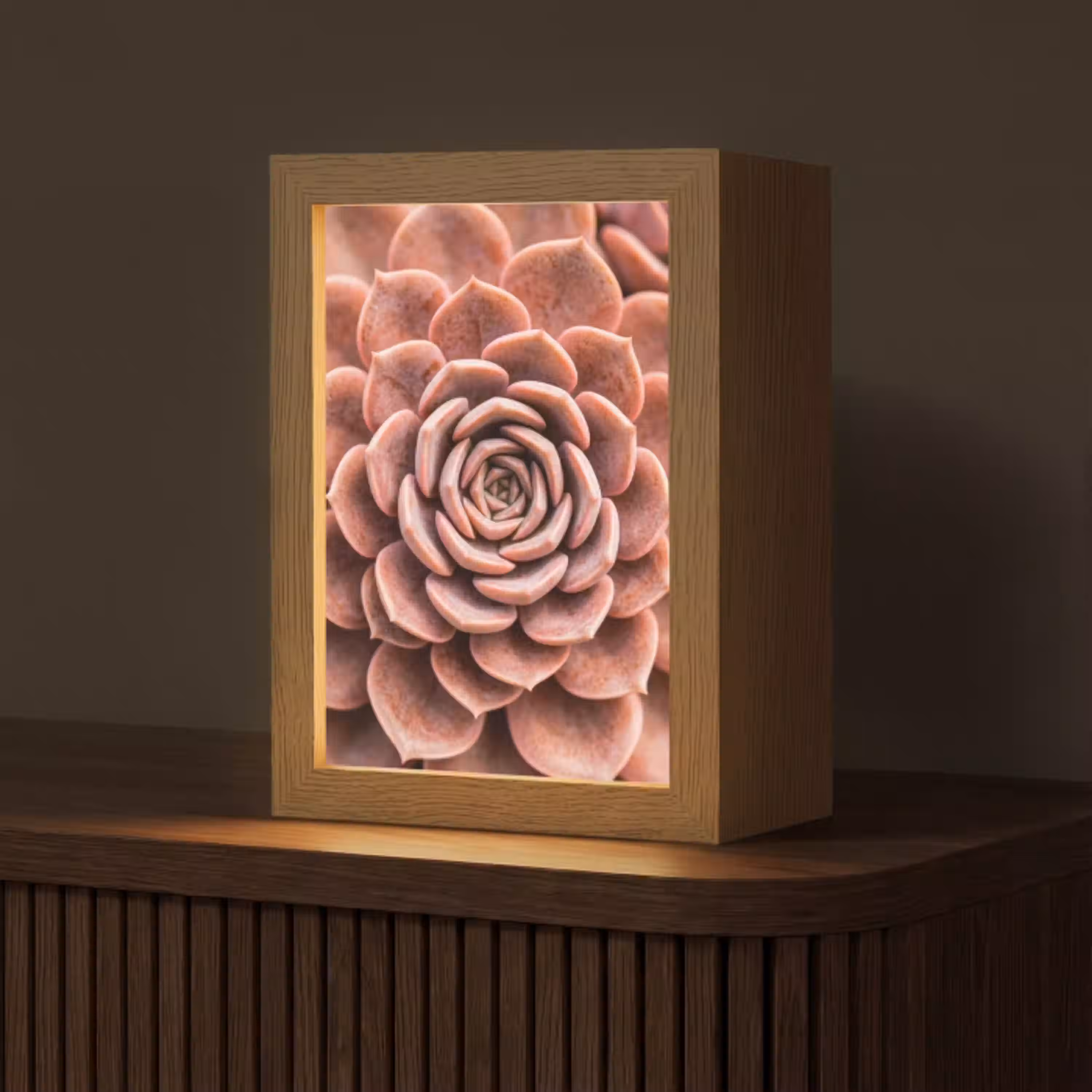 Vetplant - Organisch - Roze Light Box met kabel (Tafellamp) klein -z3d_website