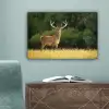 Hert - Gewei - Gras - Natuur - Dieren - Groen canvas 2cm klein -sfeer4