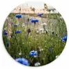 Bloemen - Zomer - Korenbloem - Blauw - Zon - Wolken Wandcirkel kunststof plaat 5mm dik klein -3d