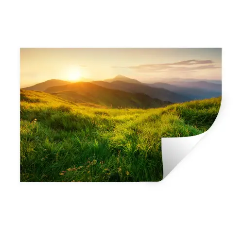 Gras - Heuvels - Zon - Natuur Muursticker klein -3d