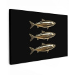 Vissen - Goud - Zwart Tuinposter op houten frame 2 cm dik klein -3d