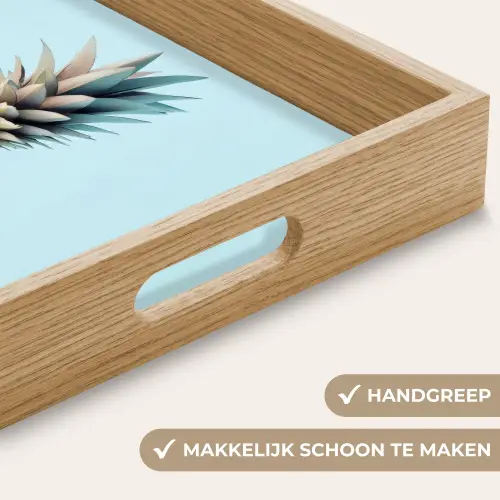 Blauw - Ananas - Disco - Discobal Dienblad Rechthoek middel -USP_HandgreepNL
