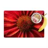 Close up - Bloem- Rood Placemat vinyl groot -zzzproduct_Kitchenyeah-website