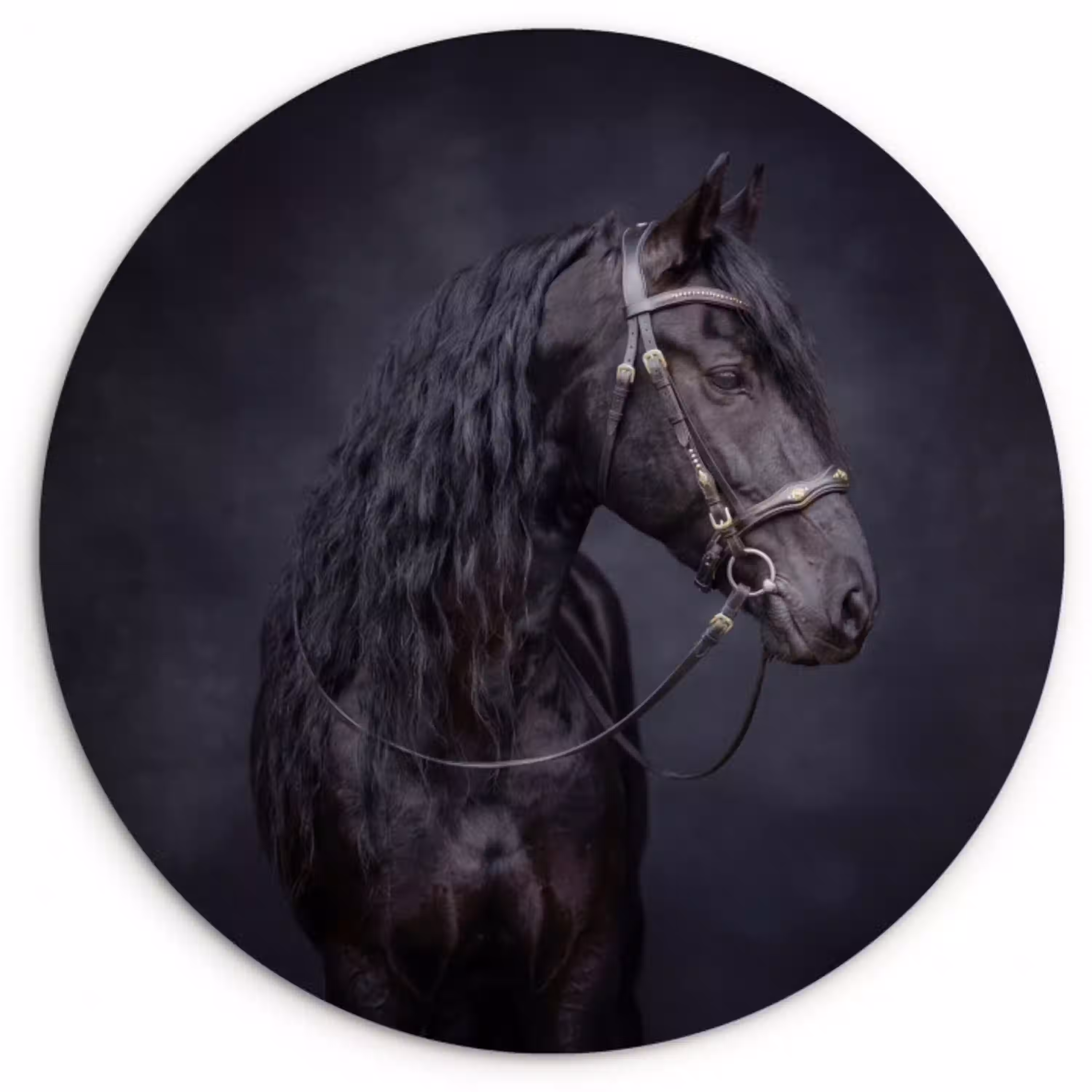 Portret - Paard - Donker Wandcirkel kunststof plaat 5mm dik klein -3d
