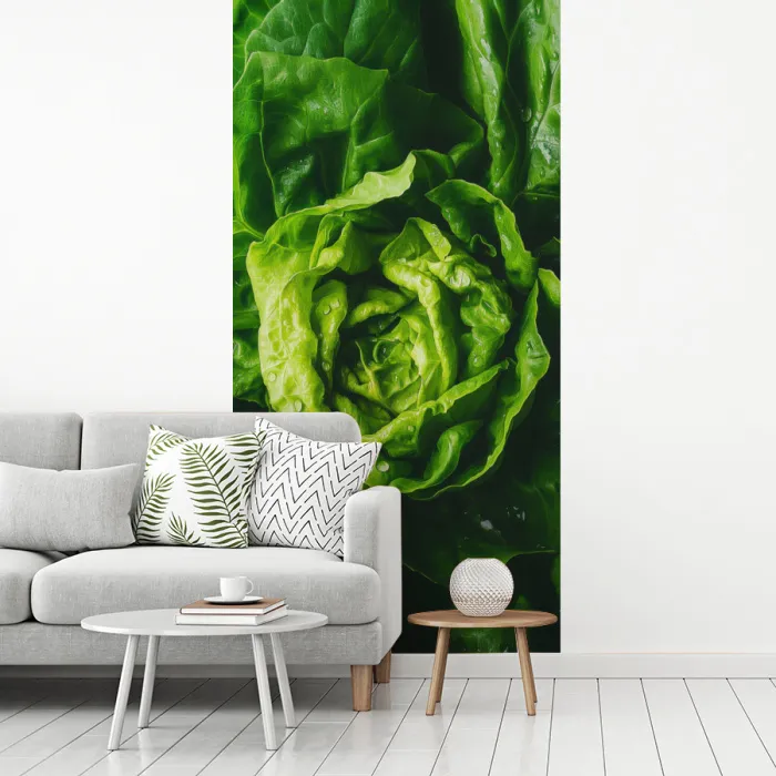Groente - Sla - Groen fotobehang vinyl groot -woonkamer