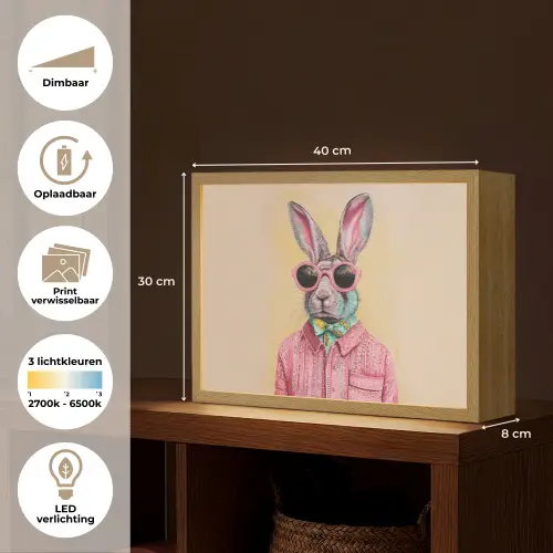 Grijs - Konijn - Blouse - Strik Light Box met batterij (Wandlamp) middel -USP_websiteoverzichtNL