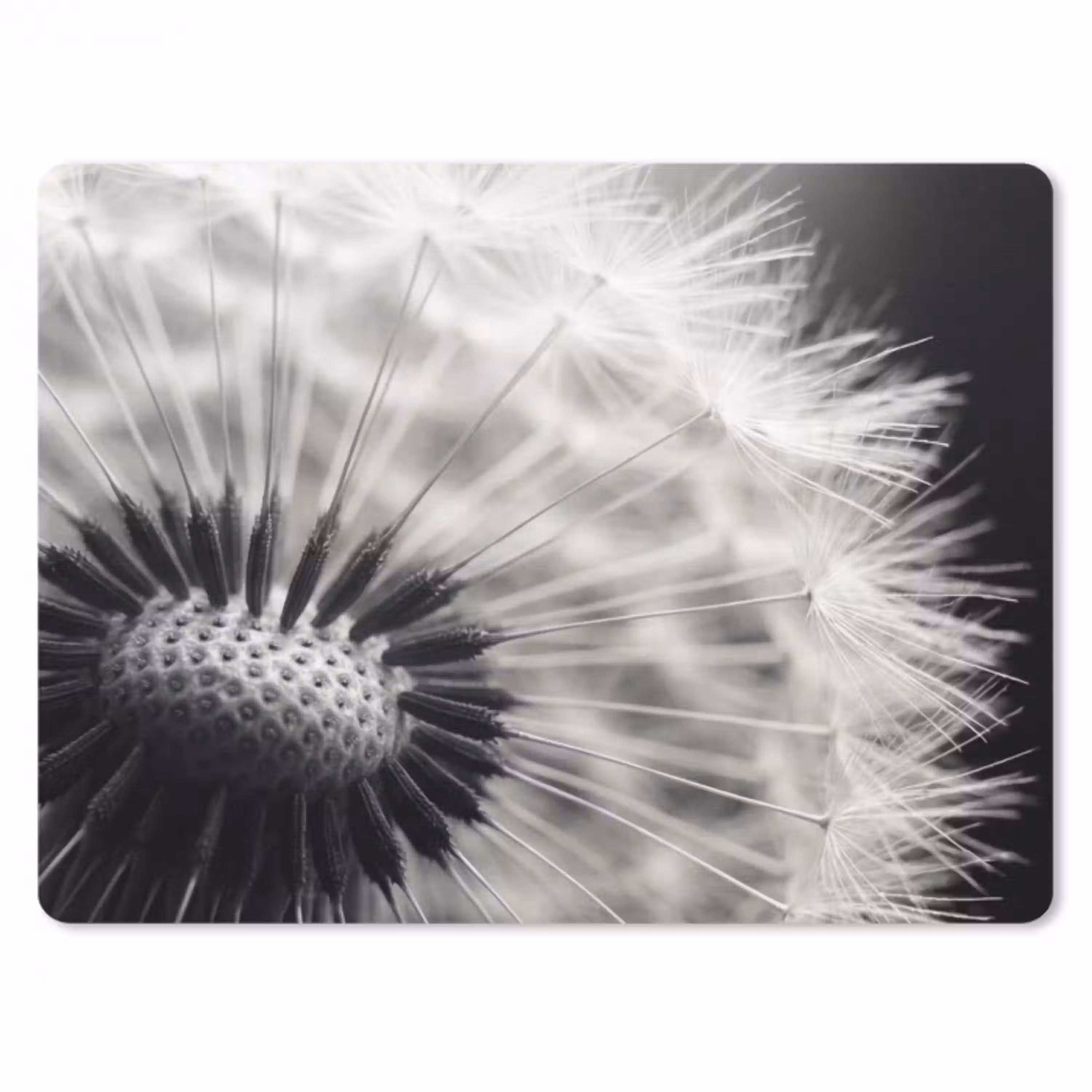 Paardenbloem - Zwart - Wit muismat rubber klein -3d