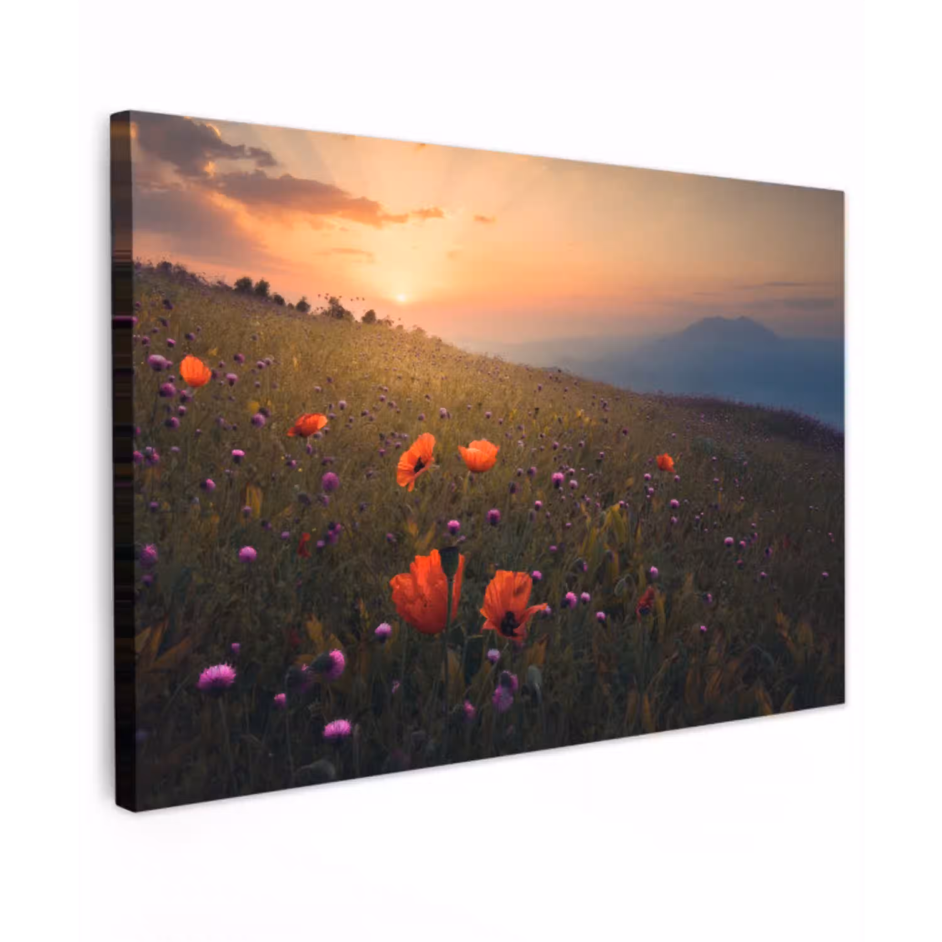 Bloemenveld - Gras - Bloemen - Planten - Zonsondergang - Oranje Tuinposter op houten frame 2 cm dik klein -3d