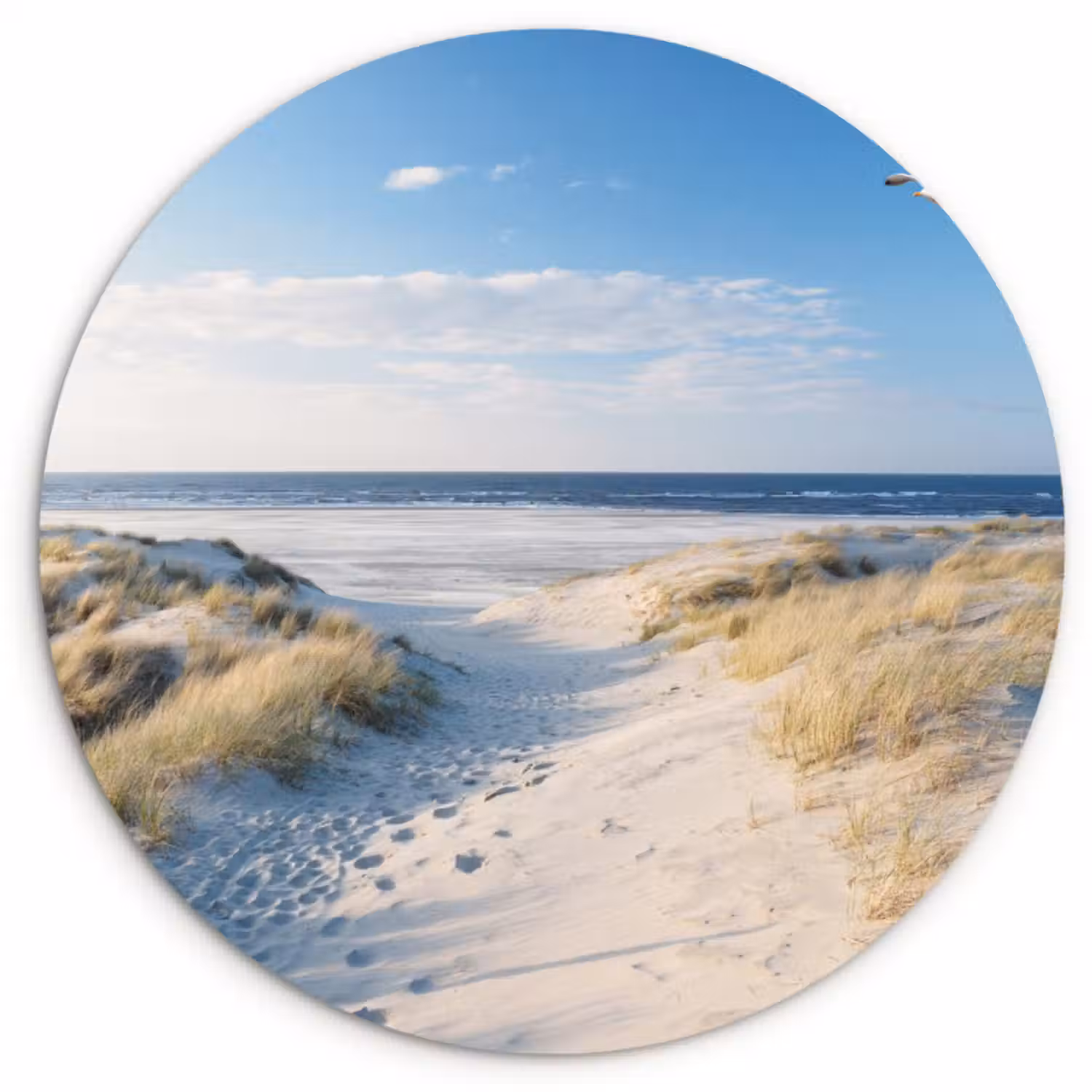 Muurcirkel - Duin - Meeuw - Strand - Zee - Zon