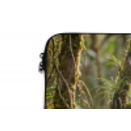 Quetzal - Jungle - Natuur - Groen laptophoes neopreen klein -detail