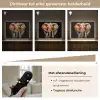 Olifant - Graffiti - Zwart - Dieren - Kleuren Light Box met batterij (Wandlamp) middel -USP_dimbaarNL