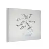 Vissen - Water - Wit PET vilt klein -3d