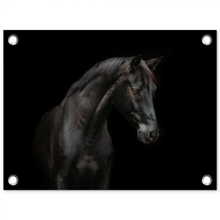 Paard - Dieren - Zwart - Portret tuinposter los doek klein -3d