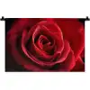 Rood - Roos - Romantisch Wandkleed katoen klein -zz3d