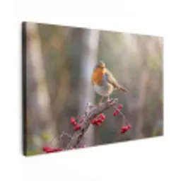Roodborst - Tak - Bessen - Natuur canvas 2cm klein -z3d