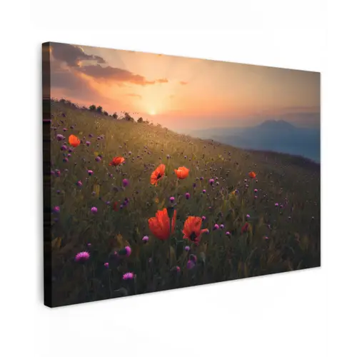 Bloemenveld - Gras - Bloemen - Planten - Zonsondergang - Oranje canvas 2cm klein -z3d
