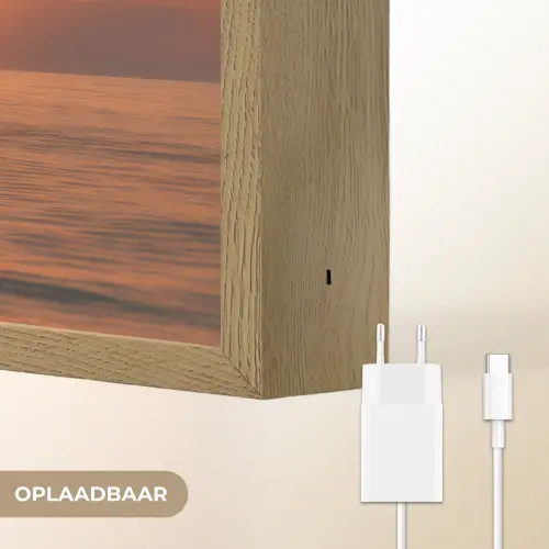 Dolfijnen - Zee - Realistisch Light Box met batterij (Wandlamp) middel -USP_websiteoplaadbaarNL