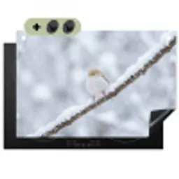 Vogeltje - Sneeuw - Tak - Winter - Zacht Inductie beschemer met haakjes klein -3d