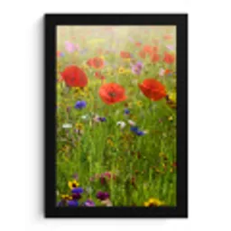 Lente - Bloemen - Rood - Klaproos - Gras - Groen fotolijst zwart zonder passe partout klein -3d