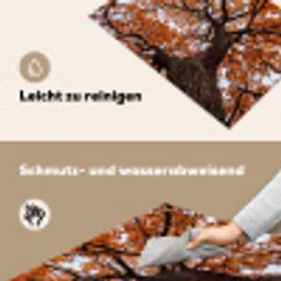 Boom - Bladerdak - Herfst - Oranje - Sfeervol Inductie beschemer met haakjes klein -ky-schoon-de