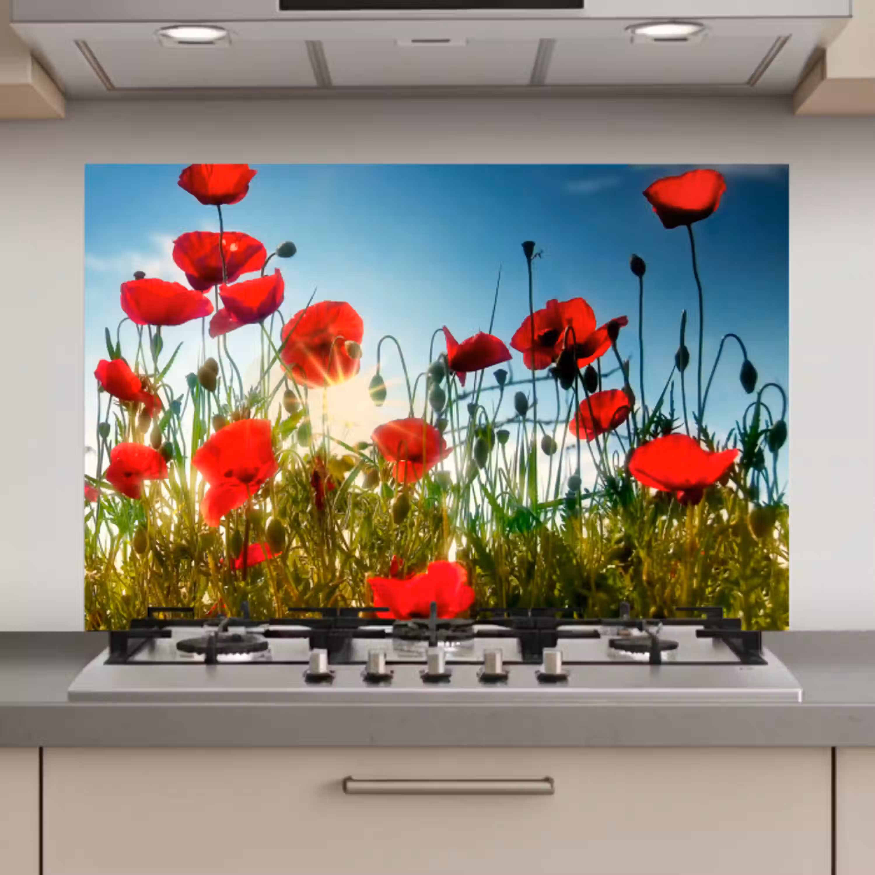 Klaprozen - Toscane - Zon - Rood - Blauw keuken achterwand spatscherm klein -3d_website