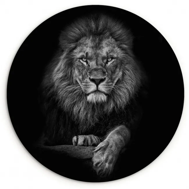 Leeuw - Dieren - Zwart - Wit Wandcirkel kunststof plaat 5mm dik klein -3d