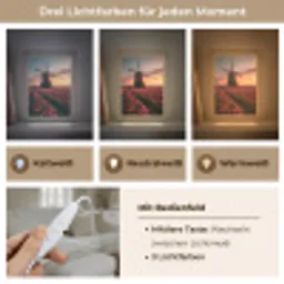 Molen - Zonsondergang - Tulpen - Rood Light Box met kabel (Tafellamp) klein -USP_lichtkleurDE