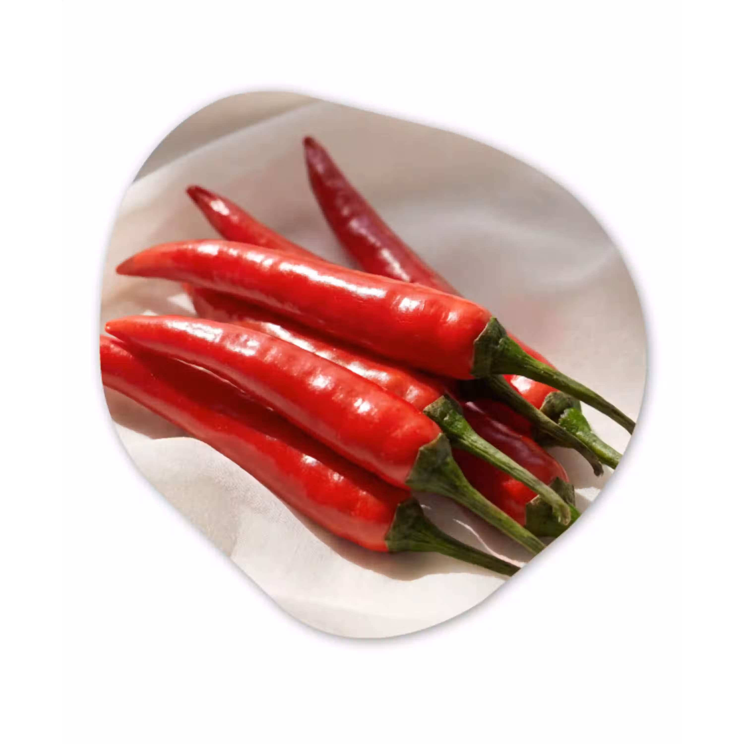 Peper - Rood - Eten Wandcirkel Organisch Aluminium middel -3d