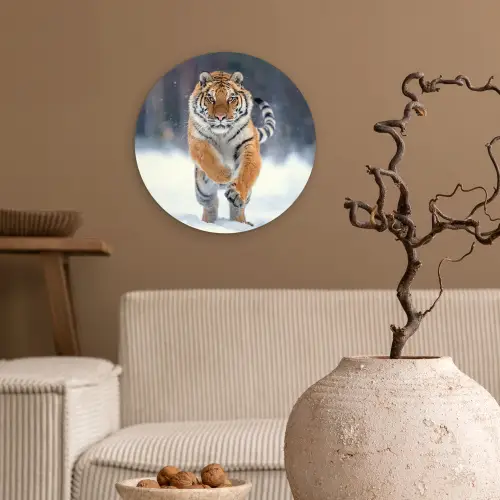 Tijger - Landschap - Sneeuw - Winter - Dieren Wandcirkel kunststof plaat 5mm dik klein -sfeer1
