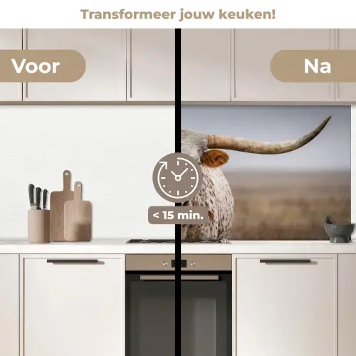 Longhorn - Grasveld - Dier keuken achterwand 2 middel -voor-na2_NL