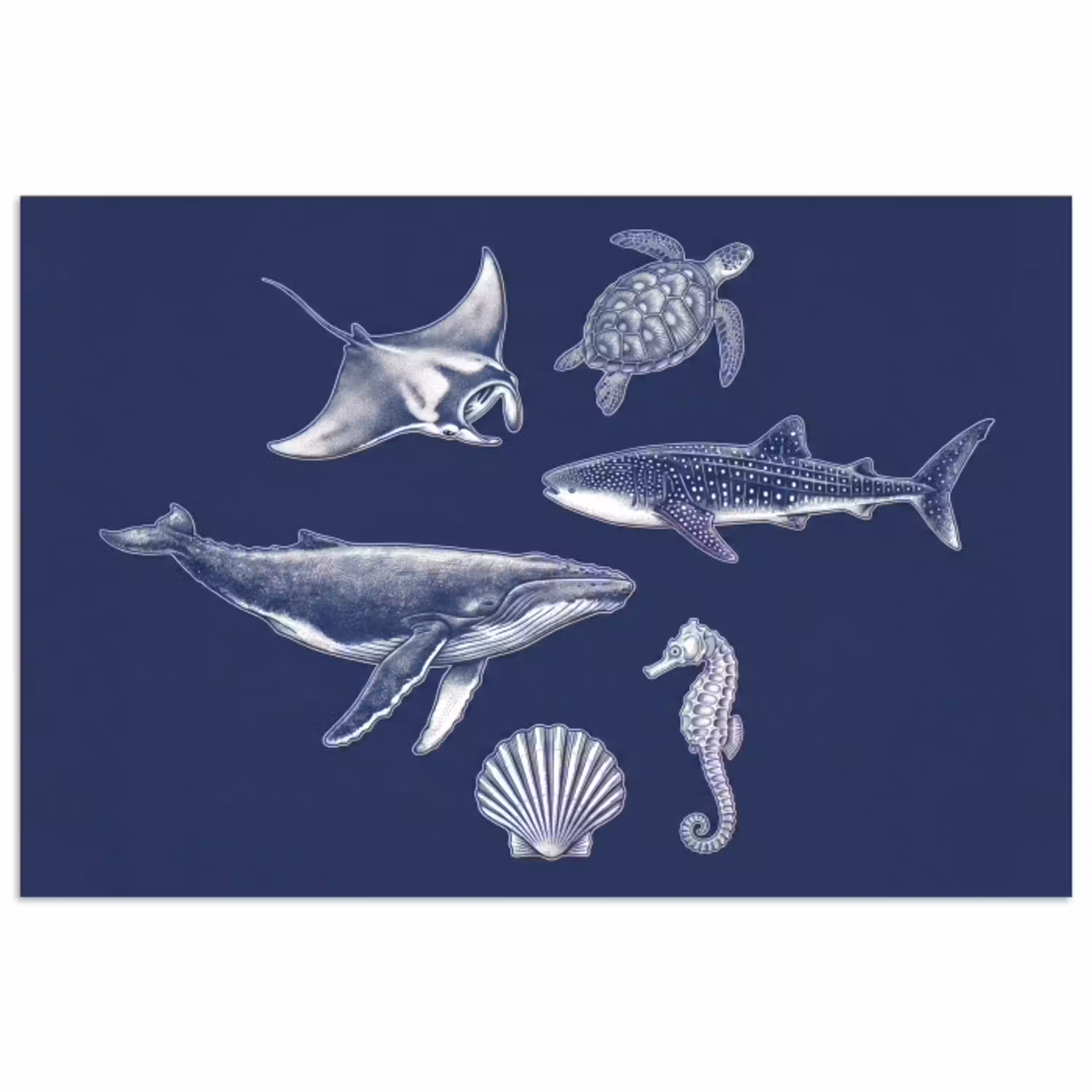 Dieren - Zeeleven - Oceaan - Graveren - Blauw poster papier klein -3d