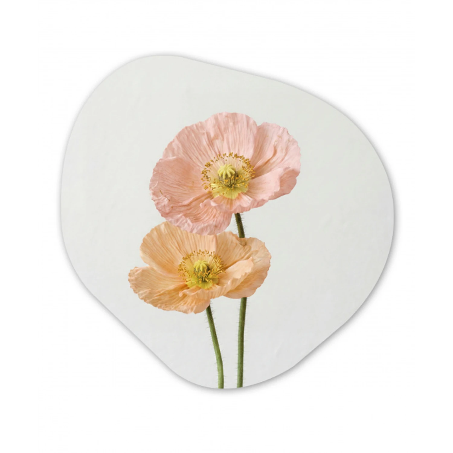 Papavers - Botanisch - Roze Wandcirkel Organisch Aluminium middel -3d