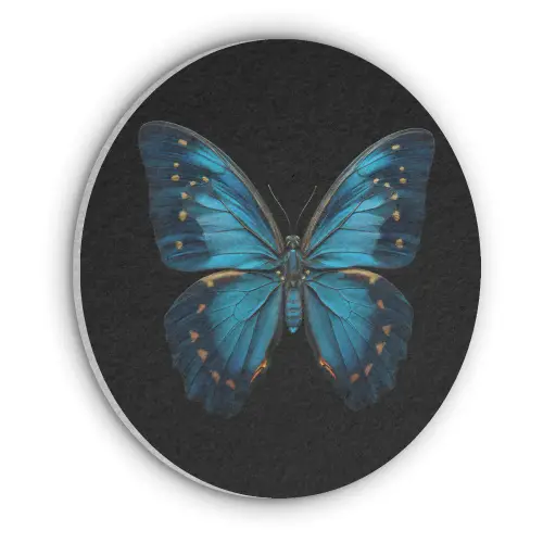Vlinder - Blauw - Contrast Akoestische PET Vilt - Rond klein -3d