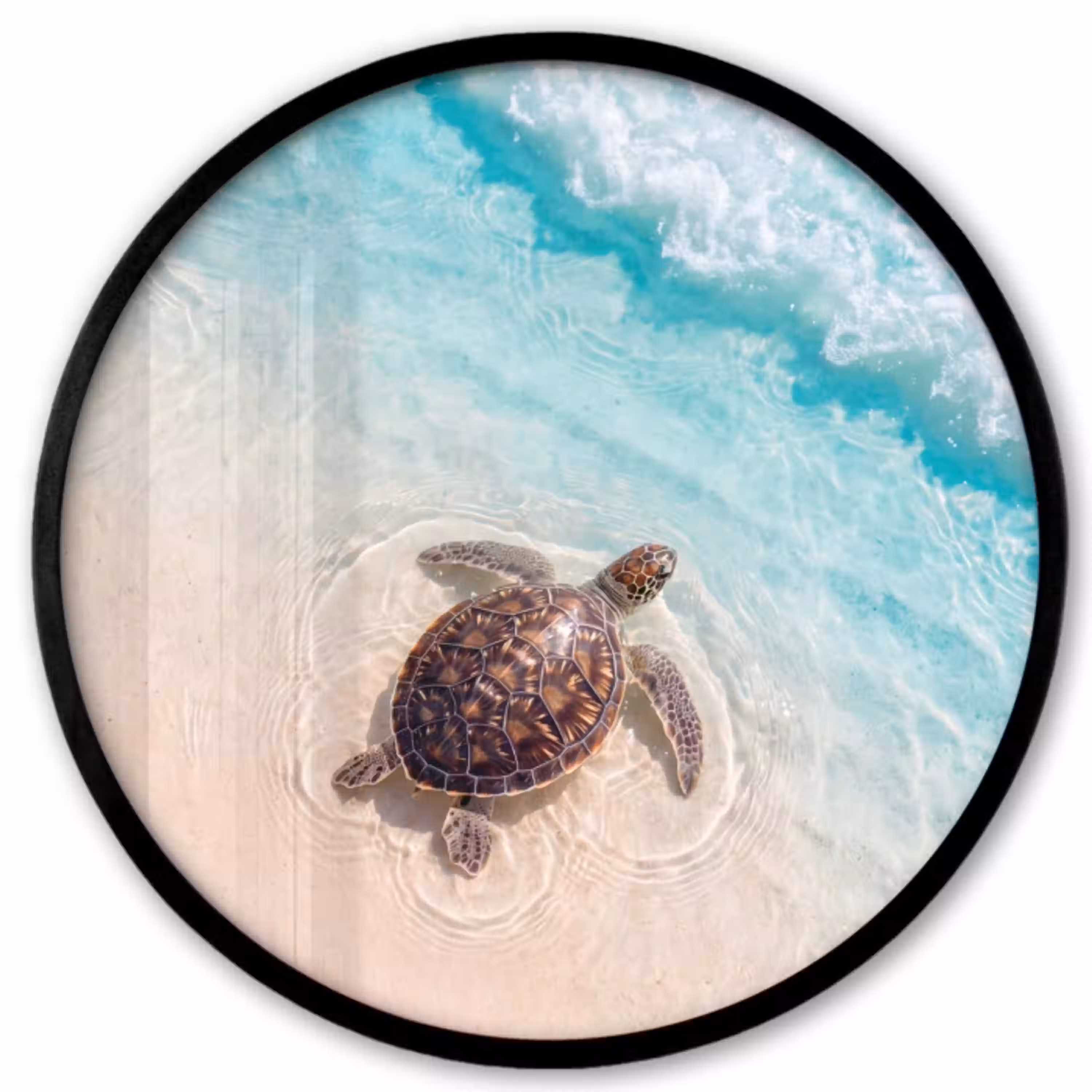 Schildpad - Helder water - Strand - Dieren - Natuur Fotolijst rond zonder passe partout klein -3d