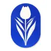 Tulp - Minimalistisch - Bladeren - Wit Wandcirkel Ovaal Glas middel -3d