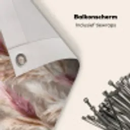 Pampasgras - Pluizig - Kleurrijk Balkonbeschermer Duitsland klein 596 -closeup_NL