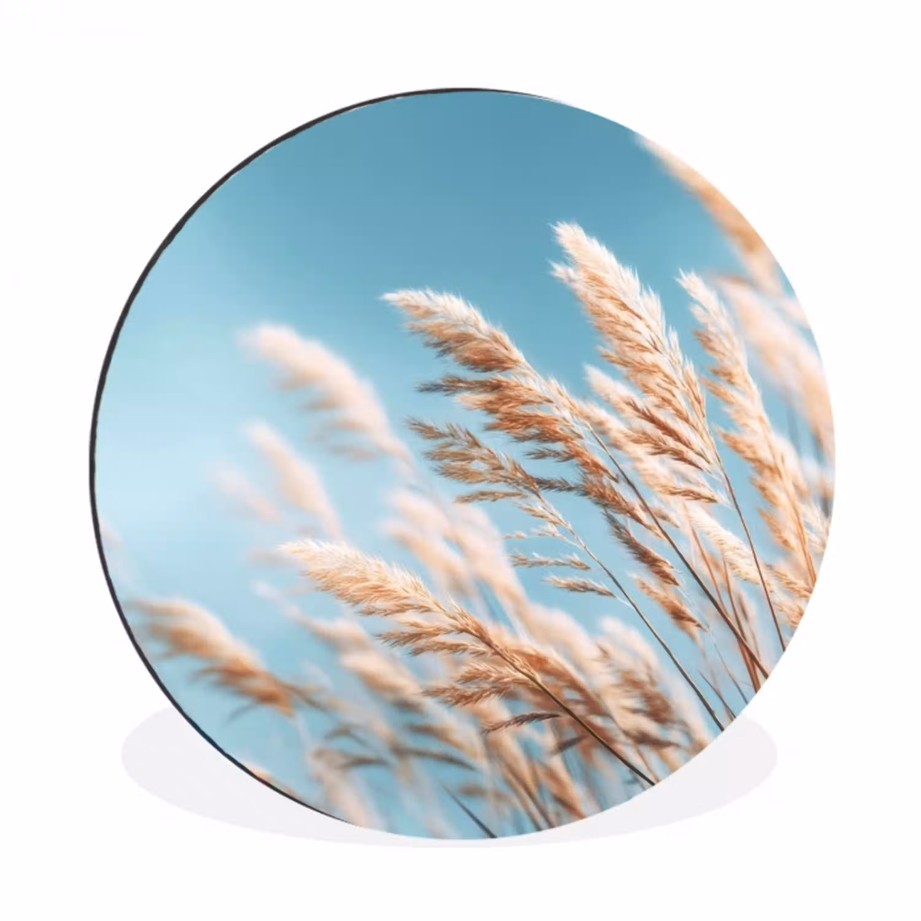 Siergras - Wind - Lichtbruin Wandcirkel aluminium klein -3d
