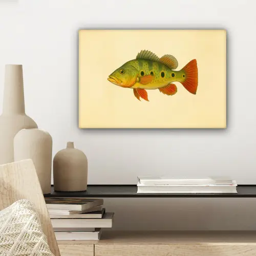 Schubben - Vis - Groen - Illustratie canvas 2cm klein -sfeer6