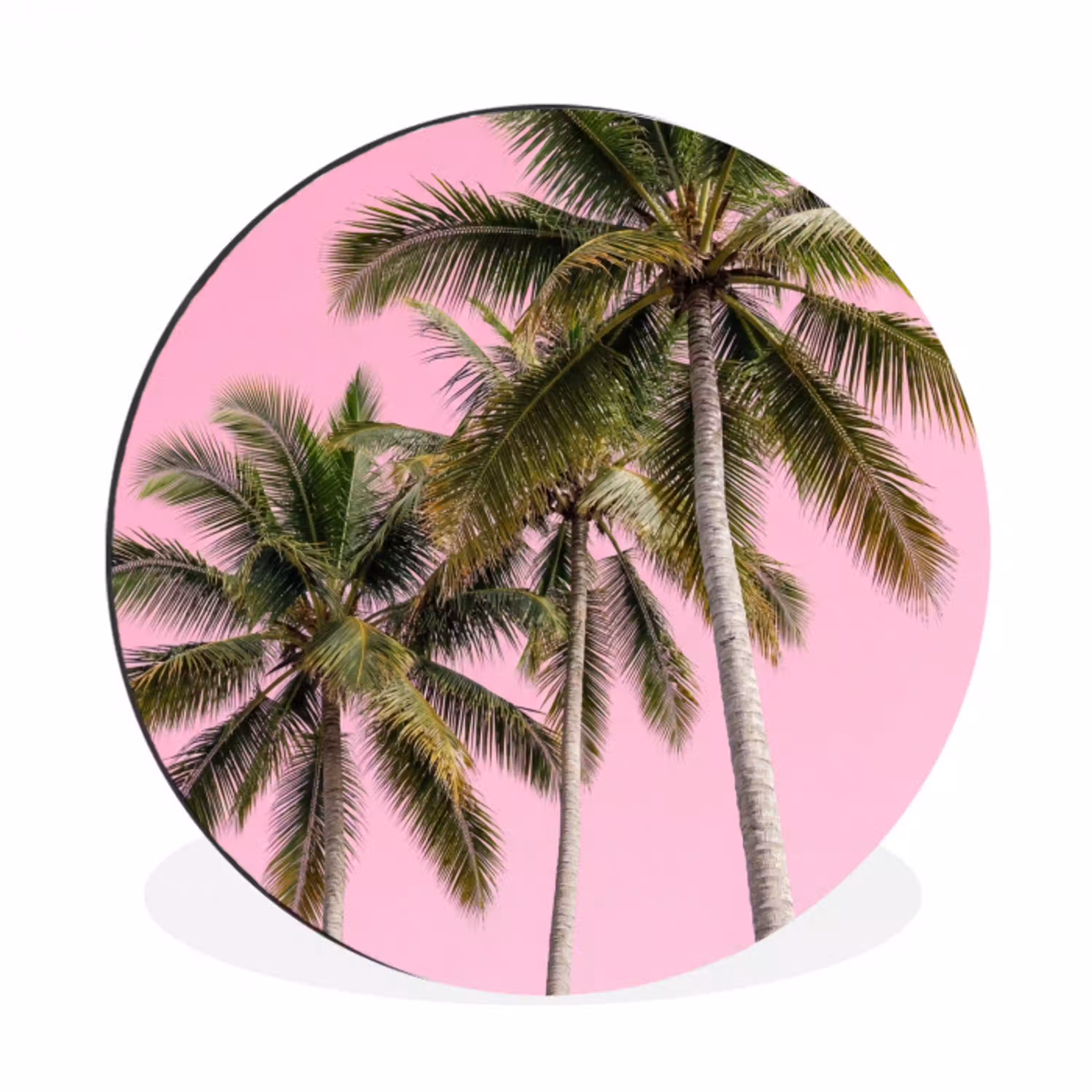 Palmboom - Tropisch - Pink Wandcirkel aluminium klein -3d