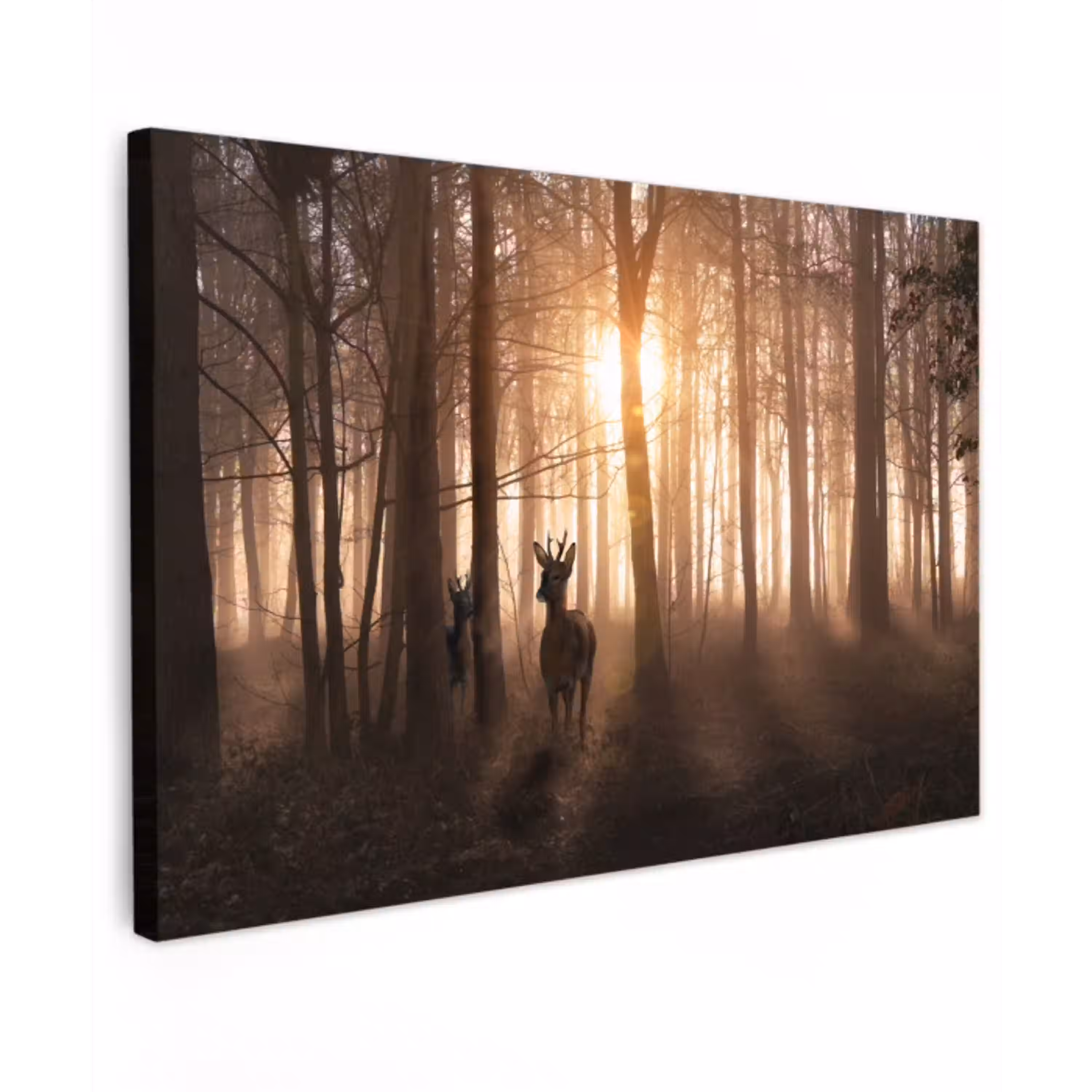 Bos - Hert - Zon - Bomen - Winter - Natuur - Dieren canvas 2cm klein -z3d